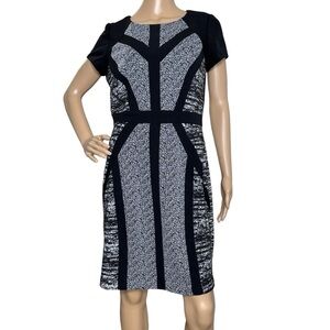 Sandra Darren black and gray dress 8